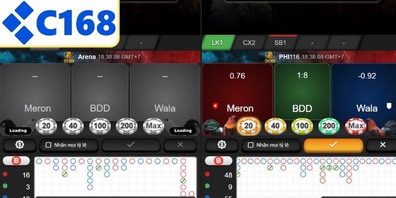 Hướng dẫn chọn phòng đá gà cho người mới