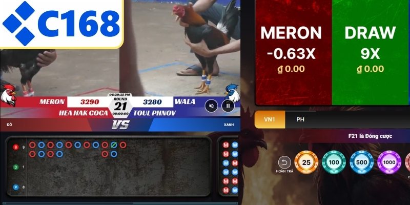 Tránh sai lầm khi cược chiến kê trực tuyến