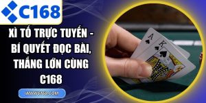 Xì Tố Trực Tuyến