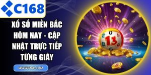 Xổ Số Miền Bắc Hôm Nay